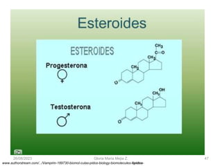 26/08/2023 Gloria Maria Mejia Z. 47
www.authorstream.com/.../Vampirin-189730-biomol-culas-pidos-biology-biomolecules-lipidos-
 