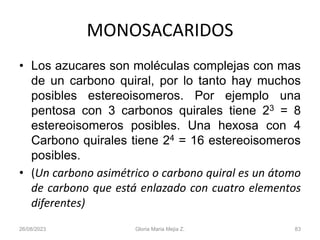 26/08/2023 Gloria Maria Mejia Z. 83
MONOSACARIDOS
• Los azucares son moléculas complejas con mas
de un carbono quiral, por lo tanto hay muchos
posibles estereoisomeros. Por ejemplo una
pentosa con 3 carbonos quirales tiene 23 = 8
estereoisomeros posibles. Una hexosa con 4
Carbono quirales tiene 24 = 16 estereoisomeros
posibles.
• (Un carbono asimétrico o carbono quiral es un átomo
de carbono que está enlazado con cuatro elementos
diferentes)
 