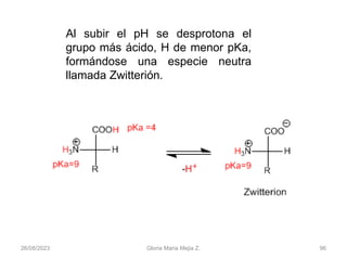 26/08/2023 Gloria Maria Mejia Z. 96
Al subir el pH se desprotona el
grupo más ácido, H de menor pKa,
formándose una especie neutra
llamada Zwitterión.
 