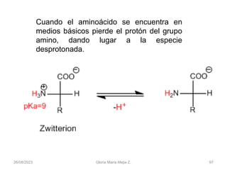 26/08/2023 Gloria Maria Mejia Z. 97
Cuando el aminoácido se encuentra en
medios básicos pierde el protón del grupo
amino, dando lugar a la especie
desprotonada.
 
