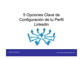 5 Opciones Clave de
                   Configuración de tu Perfil
                           Linkedin




Pedro de Vicente                        www.exprimiendolinkedin.com
 