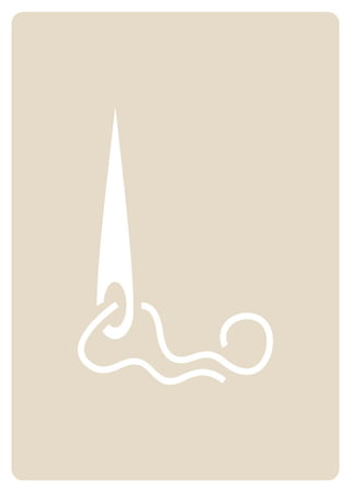 5 organización, compra e limpeza