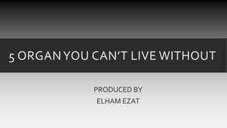 5 ORGANYOU CAN’T LIVE WITHOUT
PRODUCED BY
ELHAM EZAT
 