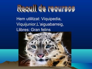Hem utilitzat: Viquipedia,
Viquijunior,L’aiguabarreig,
Llibres: Gran felins
 