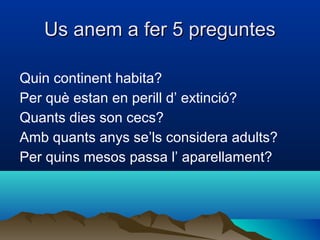 Us anem a fer 5 preguntesUs anem a fer 5 preguntes
Quin continent habita?
Per què estan en perill d’ extinció?
Quants dies son cecs?
Amb quants anys se’ls considera adults?
Per quins mesos passa l’ aparellament?
 