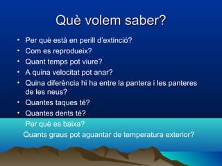 Què volem saber?Què volem saber?
• Per què està en perill d’extinció?
• Com es reprodueix?
• Quant temps pot viure?
• A quina velocitat pot anar?
• Quina diferència hi ha entre la pantera i les panteres
de les neus?
• Quantes taques té?
• Quantes dents té?
Per què es baixa?
Quants graus pot aguantar de temperatura exterior?
 