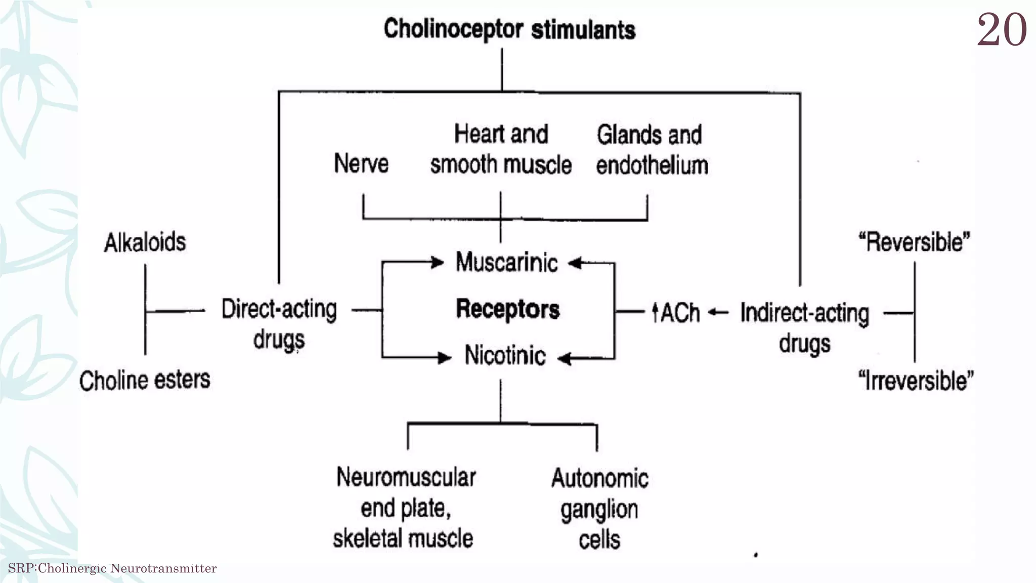 UNIT III_cholinergic neurotransmitter agonist | PPTX
