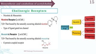 SRP:Cholinergic Neurotransmitter
15
 