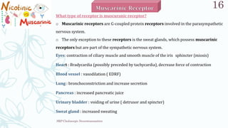 SRP:Cholinergic Neurotransmitter
16
What type of receptor is muscuranic receptor?
o Muscarinic receptors are G-coupled protein receptors involved in the parasympathetic
nervous system.
o The only exception to these receptors is the sweat glands, which possess muscarinic
receptors but are part of the sympathetic nervous system.
Eyes: contraction of ciliary muscle and smooth muscle of the iris sphincter (miosis)
Heart : Bradycardia (possibly preceded by tachycardia), decrease force of contraction
Blood vessel : vasodilation ( EDRF)
Lung : bronchoconstriction and increase secretion
Pancreas : increased pancreatic juice
Urinary bladder : voiding of urine ( detrusor and spincter)
Sweat gland : increased sweating
 