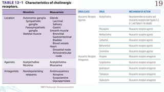 SRP:Cholinergic Neurotransmitter
19
 