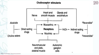 SRP:Cholinergic Neurotransmitter
20
 