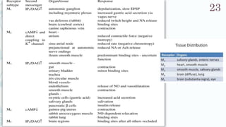 SRP:Cholinergic Neurotransmitter
23
 
