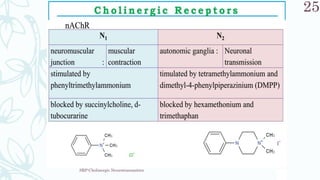SRP:Cholinergic Neurotransmitter
25
 