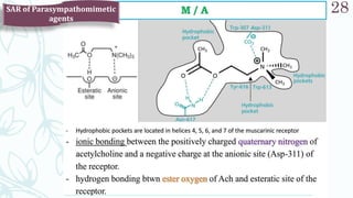 SRP:Cholinergic Neurotransmitter
28
SAR of Parasympathomimetic
agents
 