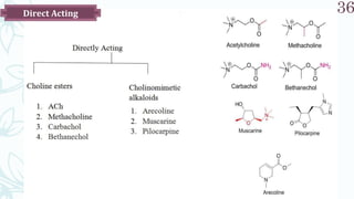 SRP:Cholinergic Neurotransmitter
36
Direct Acting
 