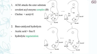 SRP:Cholinergic Neurotransmitter
60
 