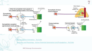 SRP:Cholinergic Neurotransmitter
7
Nerve impulse Animation - YouTube
Anatomy and Physiology - Action Potential Generation and Propagation - YouTube
 