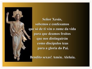 Señor Xesús,Señor Xesús,
sabemos e confesamossabemos e confesamos
que só de ti vén o zume da vidaque só de ti vén o zume da vida
para que deamos froitospara que deamos froitos
que nos distinguiránque nos distinguirán
como discípulos teuscomo discípulos teus
para a gloria do Pai.para a gloria do Pai.
Bendito sexas! Amén. Aleluia.Bendito sexas! Amén. Aleluia.
 