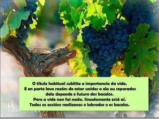 O título habitual subliña a importancia da vide.O título habitual subliña a importancia da vide.
E en parte leva razón: de estar unidos a ela ou separadosE en parte leva razón: de estar unidos a ela ou separados
dela depende o futuro dos bacelos.dela depende o futuro dos bacelos.
Pero a vide non fai nada. Sinxelamente está aí.Pero a vide non fai nada. Sinxelamente está aí.
Todas as accións realízanas o labrador o os bacelos.Todas as accións realízanas o labrador o os bacelos.
 