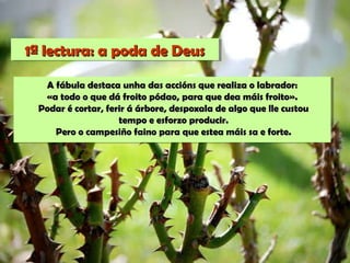 1ª lectura: a poda de Deus1ª lectura: a poda de Deus
A fábula destaca unha das accións que realiza o labrador:A fábula destaca unha das accións que realiza o labrador:
«a todo o que dá froito pódao, para que dea máis froito».«a todo o que dá froito pódao, para que dea máis froito».
Podar é cortar, ferir á árbore, despoxala de algo que lle custouPodar é cortar, ferir á árbore, despoxala de algo que lle custou
tempo e esforzo producir.tempo e esforzo producir.
Pero o campesiño faino para que estea máis sa e forte.Pero o campesiño faino para que estea máis sa e forte.
 