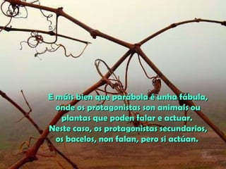 E máis bien que parábola é unha fábula,E máis bien que parábola é unha fábula,
onde os protagonistas son animais ouonde os protagonistas son animais ou
plantas que poden falar e actuar.plantas que poden falar e actuar.
Neste caso, os protagonistas secundarios,Neste caso, os protagonistas secundarios,
os bacelos, non falan, pero si actúan.os bacelos, non falan, pero si actúan.
 