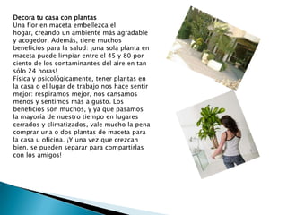 Decora tu casa con plantas
Una flor en maceta embellezca el
hogar, creando un ambiente más agradable
y acogedor. Además, t...