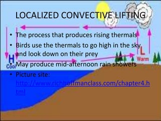 LOCALIZED CONVECTIVE LIFTING
• The process that produces rising thermals
• Birds use the thermals to go high in the sky
  and look down on their prey
• May produce mid-afternoon rain showers
• Picture site:
  http://www.richhoffmanclass.com/chapter4.h
  tml
 