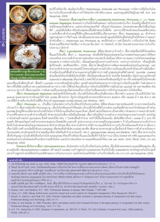 พบที่กิ่งหรือลำ�ต้น เช่นเดียวกับเชื้อรา Pestalotiopsis, Dothiorella และ Phomopsis การจัดการเพื่อป้องกันโรค
ในการเก็บเกี่ยว...