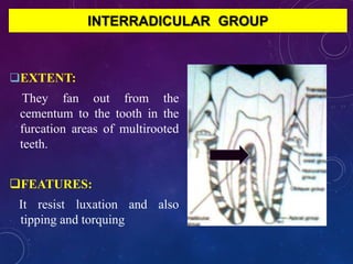 Interradicular Inection periodontal ligament | PPTX
