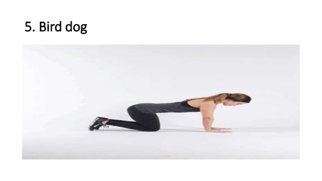 5 Pelvic Floor Exercises For Women