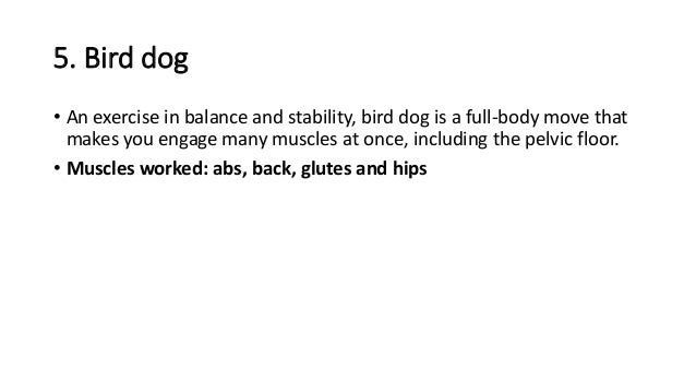 5 Pelvic Floor Exercises For Women