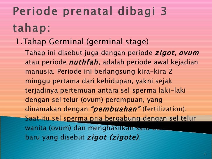Concept Apa Yang Dimaksud Dengan Periode Rokoko Home Decorating Ideas