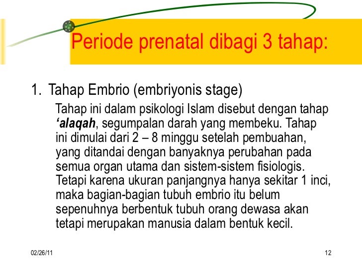 5 periode prenatal