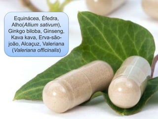 25
Equinácea, Éfedra,
Alho(Allium sativum),
Ginkgo biloba, Ginseng,
Kava kava, Erva-são-
joão, Alcaçuz, Valeriana
(Valeriana officinalis)
 