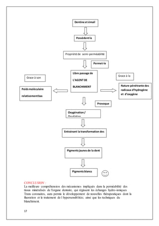 17
CONCLUSION :
La meilleure compréhension des mécanismes impliqués dans la perméabilité des
tissus minéralisés de l'organe dentaire, qui régissent les échanges hydro-ioniques
Trans coronaires, aura permis le développement de nouvelles thérapeutiques dont la
fluoration et le traitement de l hypersensiblitée; ainsi que les techniques du
blanchiment.
Pigmentsjaunesde la dent
Dentine et émail
Possèdentla
Propriété de semi-perméabilité
Permet-le
Libre passage de
L’AGENT DE
BLANCHIMENT
Poidsmoléculaire
relativementbas
Grace à son
Grace à la
Nature pénétrante des
radicaux d’hydrogène
et d’oxygène
Provoque
Oxygénation/
Oxydation
Entrainant la transformation des
Pigmentsblancs
 