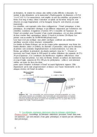 4
de formation, ils rendent les cristaux plus stables et plus difficiles à dissoudre. Le
module le plus élémentaire est le monocristal d’hydroxyapatite de dimension a=b=9,4
°A et C=6,9 °A. Ces monocristaux sont empilés au sein des cristallites qui prennent la
forme d’un long et mince ruban s’enroulant en spirale sur lui-même lorsqu’ils sont
observés en coupe longitudinale et d’un hexagone lorsqu’ils sont observés en coupe
transversale.
Les cristallites sont regroupés selon deux configurations : l’émail prismatique et inter
prismatique, de composition identique et qui diffèrent uniquement par l’orientation des
cristallites (variations d’angulation d’environ 60°). L’ensemble de l’épaisseur de
l’émail est constitué pour l’essentiel d’une couche prismatique, et à ses deux extrémités
de deux couches fines aprismatique interne (2-4μm) et et externe (20-80μm). Les
prismes sont au nombre de 30.000/40.000 prismes/mm2.
Leur trajet n’est pas rectiligne mais plutôt curviligne conférant une architecture
spécifique associée à deux structures remarquables :
Les bandes de Hunter-Schreger qui sur des coupes polies apparaissent sous forme des
bandes alternées claires et sombres, les diazonies et parazonies, selon que les faisceaux
de prismes sont sectionnés longitudinalement ou transversalement; Les stries de
Retzius qui reflètent la périodicité des dépôts matriciels (tous les 7 – 10 jours) et
traversent tout l’émail depuis la JAD jusqu’à la surface délimitant des segments de 25 à
30 μm d’épaisseur ; Ces constituent des interférences régulières infléchissant à leur
contact le trajet des prismes. Les stries de Retzius forment en surfaces des dépressions
en coup d’ongle, espacées de 30 à 100 μm, les périkymaties : celles-ci sont nettement
visibles sur toutes les faces des dents
jeunes après l’éruption et donnent à l’émail un aspect légèrement rugueux; Elles
disparaissent par la suite progressivement en liaison avec l’usure fonctionnelle ou les
attaques érosives de l’émail de surface.
b) Les éléments structuraux intervenant dans les échanges métaboliques :
Prismes d’email : Assemblage de bâtonnets minéralisés procurant l’email dans toute
son épaisseur ; qui sont entourés d’une gaine prismatique et séparés par une substance
inter-prismatique.
 