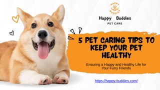https://happy-buddies.com/
Happy Buddies
PET CARE
Ensuring a Happy and Healthy Life for
Your Furry Friends
 