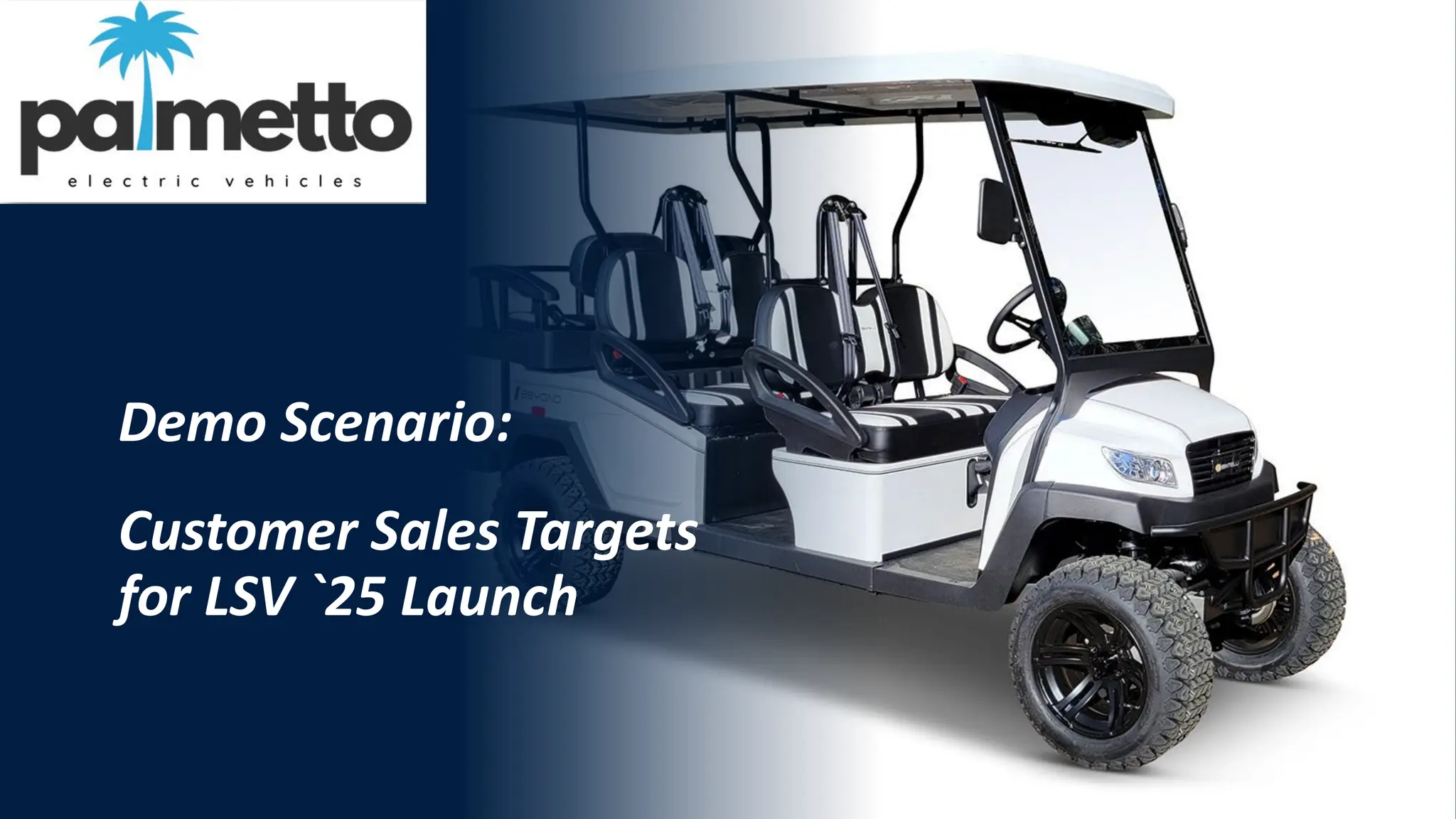 Demo Scenario:
Customer Sales Targets
for LSV `25 Launch
 