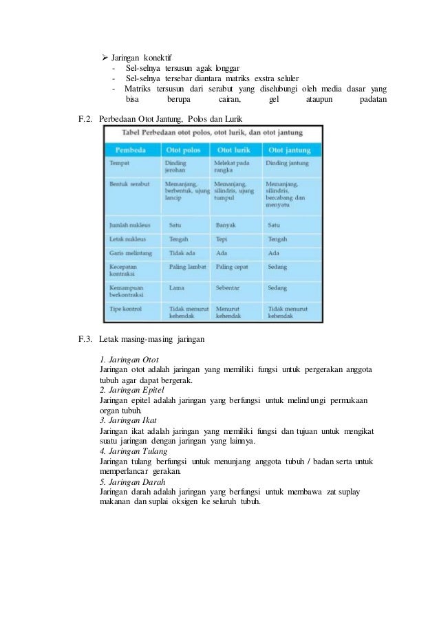 Laporan praktikum tentang jaringan hewan