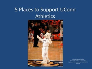 5 Places to Support UConn
         Athletics




                              Jonathan the Husky Mascot
                         Photo Credit: Matthew D. Britt via Flickr
                     http://www.flickr.com/photos/mattbritt00/617
                                        6887978/
 
