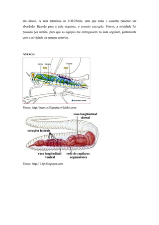em álcool. A aula terminou às 11H:25min. sem que todo o assunto pudesse ser
abordado, ficando para a aula seguinte, o assunto excreção. Porém, a atividade foi
passada por inteira, para que as equipes me entregassem na aula seguinte, juntamente
com a atividade da semana anterior.




ANEXOS:




Fonte: http://marcosfilgueira.wikidot.com




Fonte: http://1.bp.blogspot.com
 