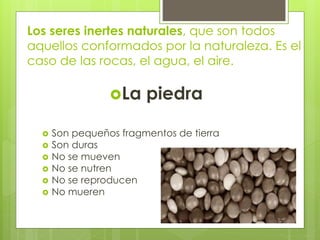 Tierra Inerte ser vivo y ser inerte- las plantas y las rocas | PPTX