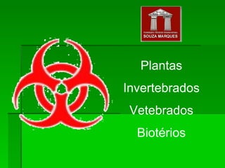 Plantas Invertebrados Vetebrados Biotérios 