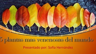 Presentado por: Sofía Hernández
 