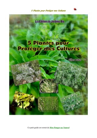 5 Plantes pour Protéger mes Cultures
Ce petit guide est extrait de Mon Potager au Naturel
 