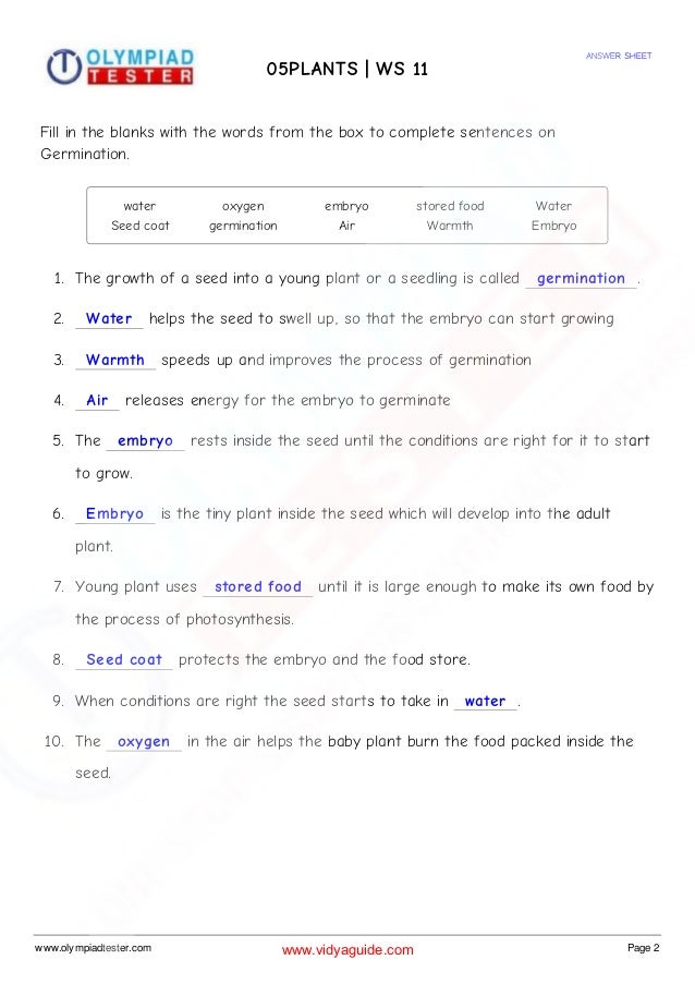 science worksheet class 5 geometry formulas worksheet common core
