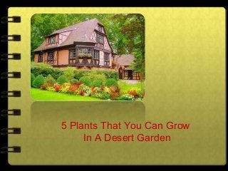 5 Plants That You Can Grow
In A Desert Garden

 