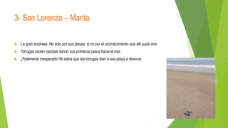 3- San Lorenzo – Manta
 La gran sorpresa. No solo por sus playas, si no por el acontecimiento que allí pude vivir.
 Tortugas recién nacidas dando sus primeros pasos hacia el mar.
 ¡Totalmente inesperado! Ni sabía que las tortugas iban a esa playa a desovar.
 