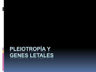 PLEIOTROPÍA Y
GENES LETALES
 