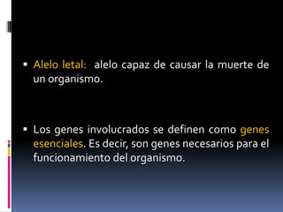 Pleiotropía y genes letales | PPT